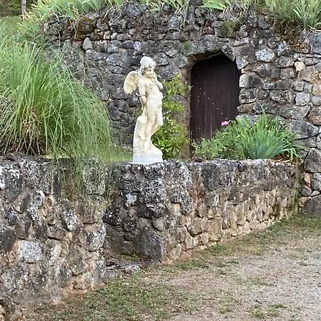La Marcassinoise *